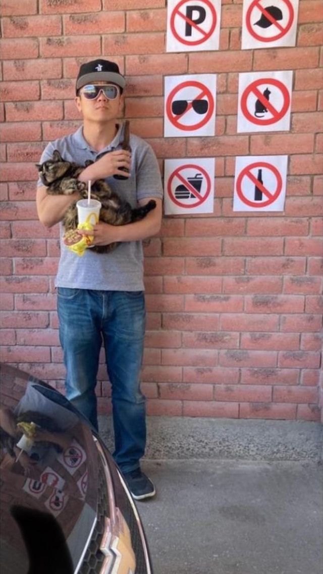 They Don't Care About The Rules (13 pics)
