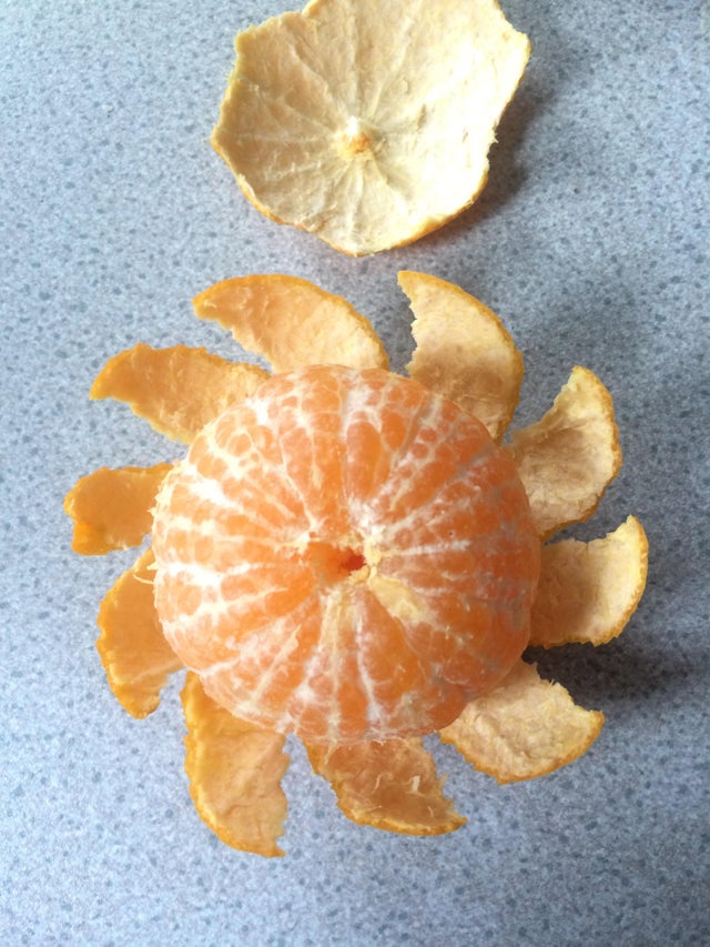 Photos For Perfectionists (18 pics)