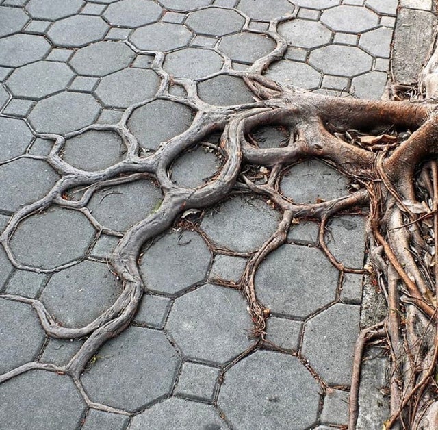 Photos For Perfectionists (18 pics)