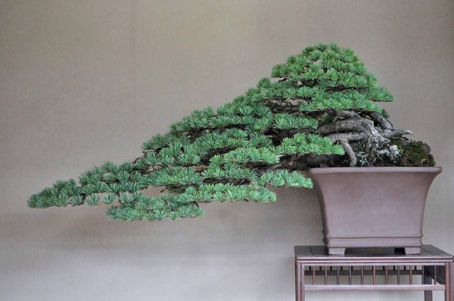 Photos For Perfectionists (18 pics)