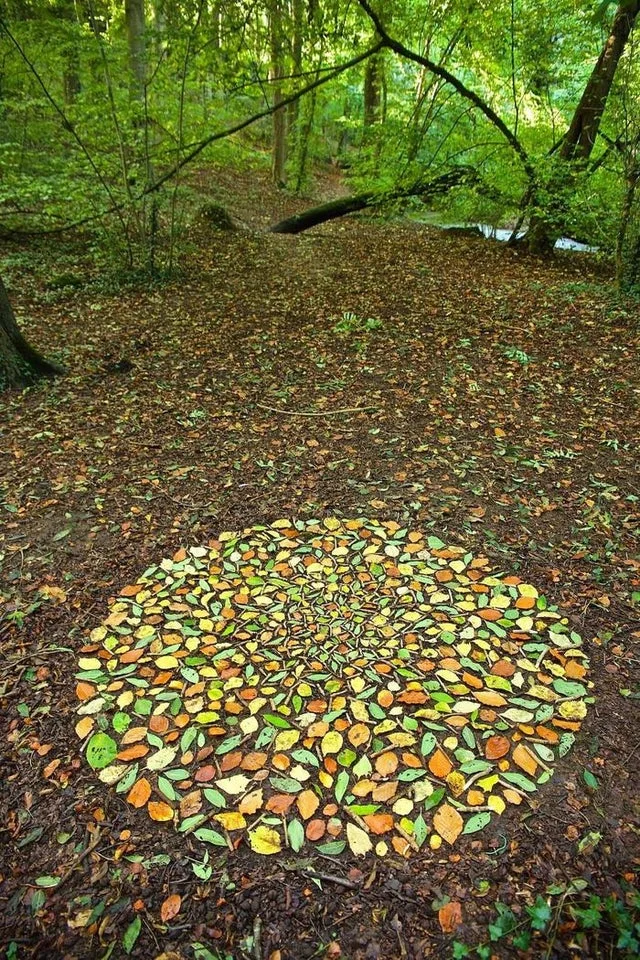 Photos For Perfectionists (18 pics)