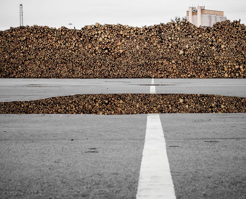 Photos For Perfectionists (17 pics)