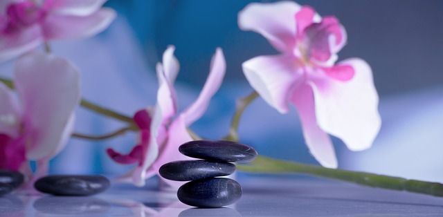 Empowering Wellness: How Technology Transforms Health Management