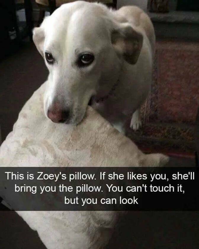Daily Pictures. Part 1 (65 pics)