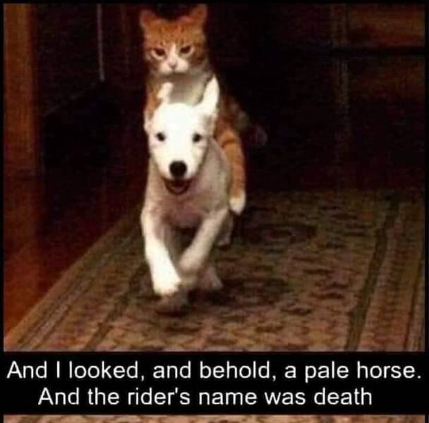 Daily Pictures. Part 1 (65 pics)
