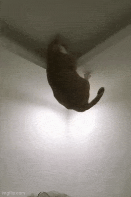 Acid GIFs, April 30 (25 gifs)