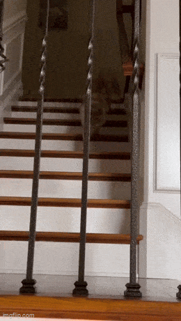 Acid GIFs, May 1 (25 gifs)