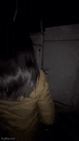 Acid GIFs, May 1 (25 gifs)