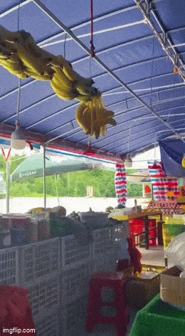 Acid GIFs, May 1 (25 gifs)