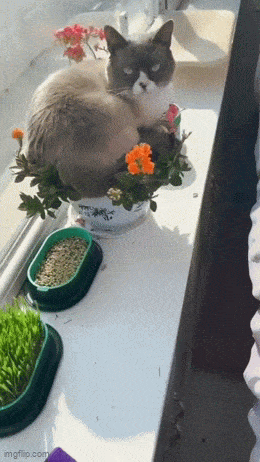 Acid GIFs, May 1 (25 gifs)