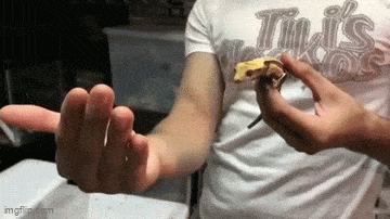 Acid GIFs, May 1 (25 gifs)