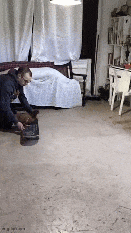 Acid GIFs, May 1 (25 gifs)