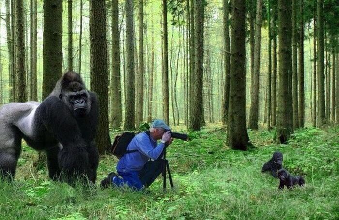 Right Moment (19 pics)