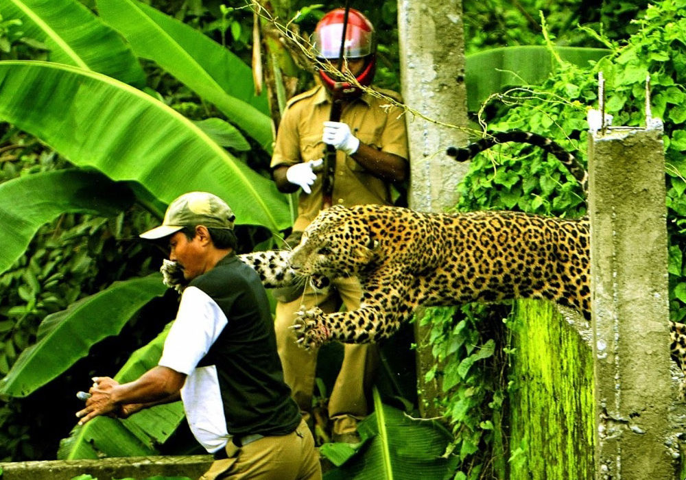 Right Moment (19 pics)