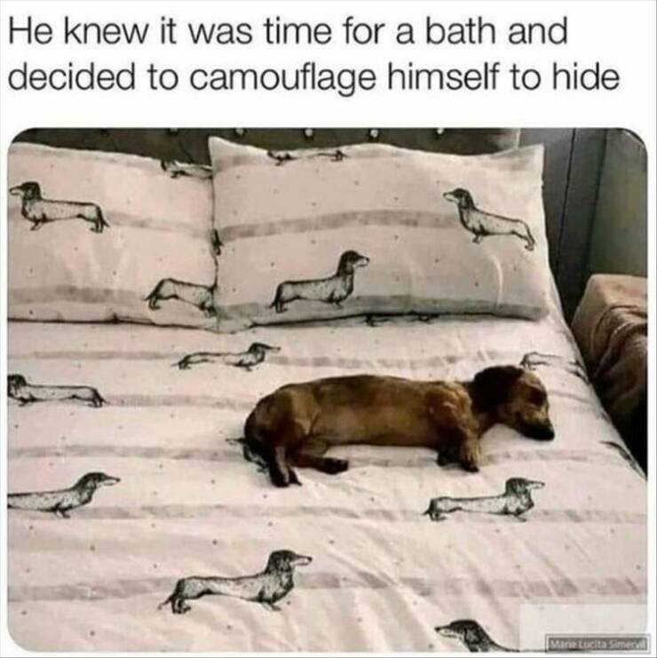 Daily Pictures. Part 2 (63 pics)