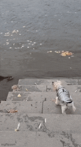 Acid GIFs, May 2 (25 gifs)