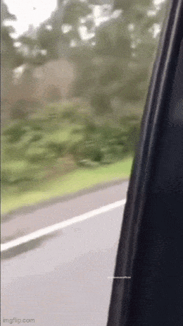 Acid GIFs, May 2 (25 gifs)