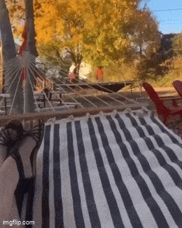 Acid GIFs, May 2 (25 gifs)