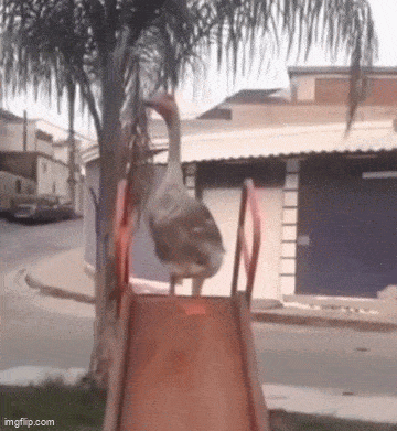 Acid GIFs, May 2 (25 gifs)