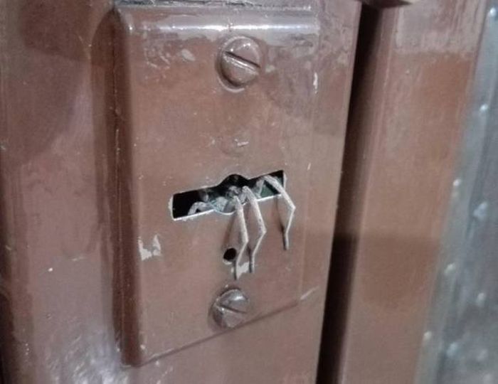 Creepy Photos (21 pics)