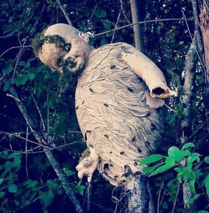 Creepy Photos (21 pics)