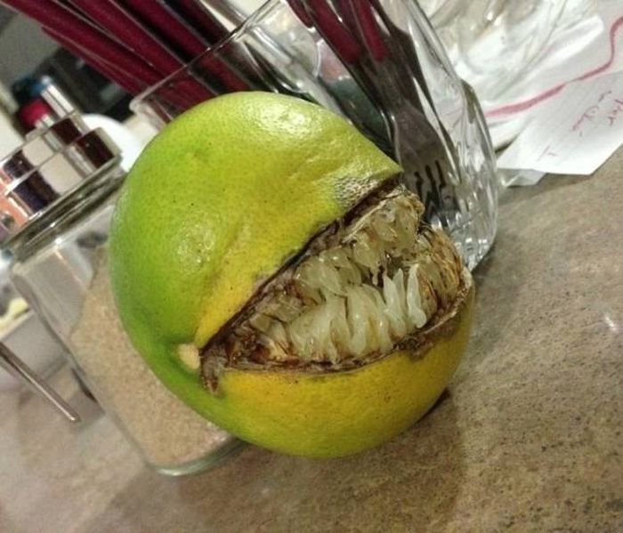 Creepy Photos (21 pics)