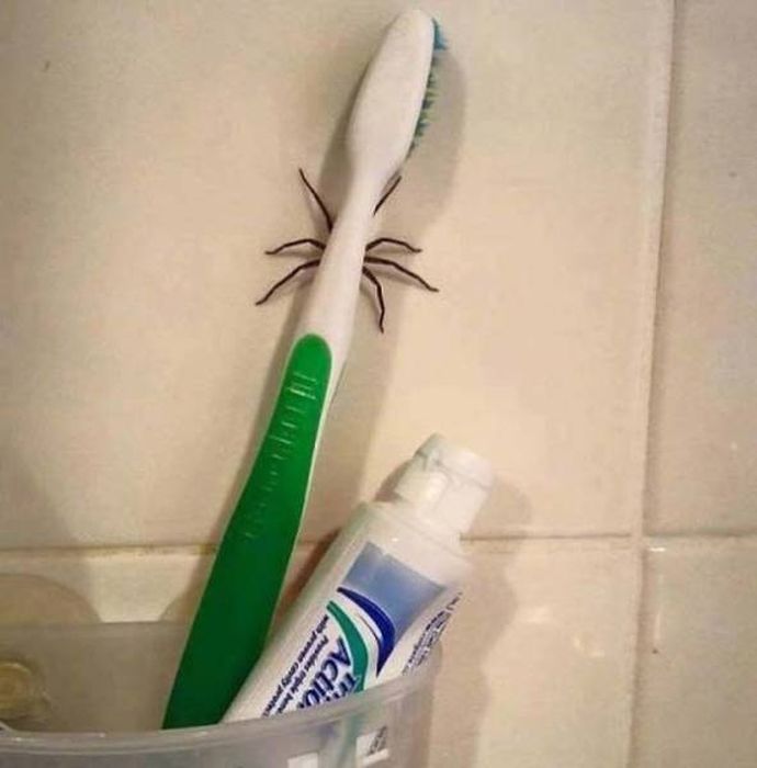 Creepy Photos (21 pics)