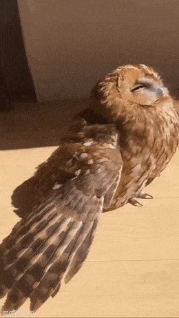 Acid GIFs, May 3 (25 gifs)