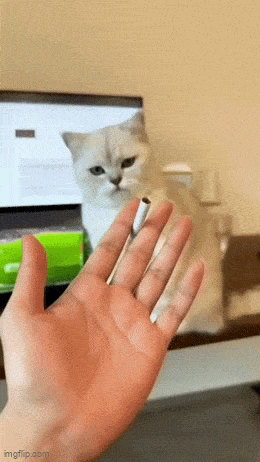 Acid GIFs, May 3 (25 gifs)
