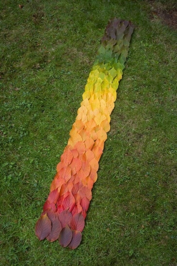 Photos For Perfectionists (20 pics)
