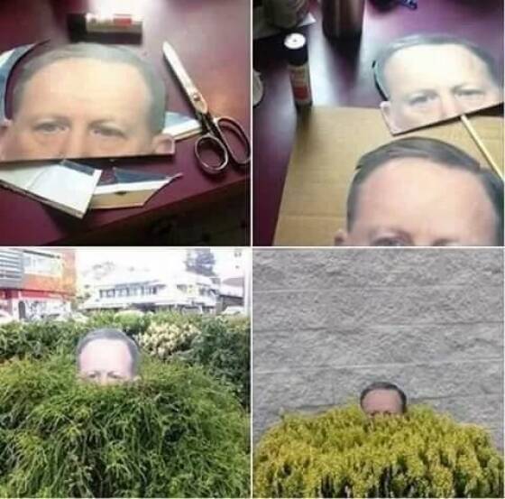 Daily Pictures. Part 1 (72 pics)