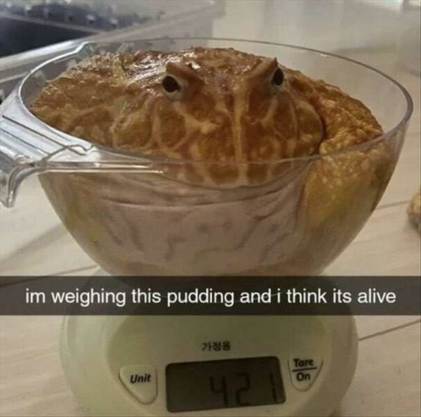 Daily Pictures. Part 2 (70 pics)