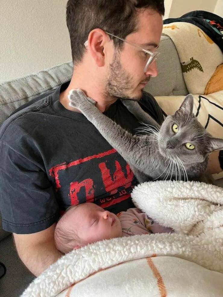 Daily Pictures. Part 2 (70 pics)