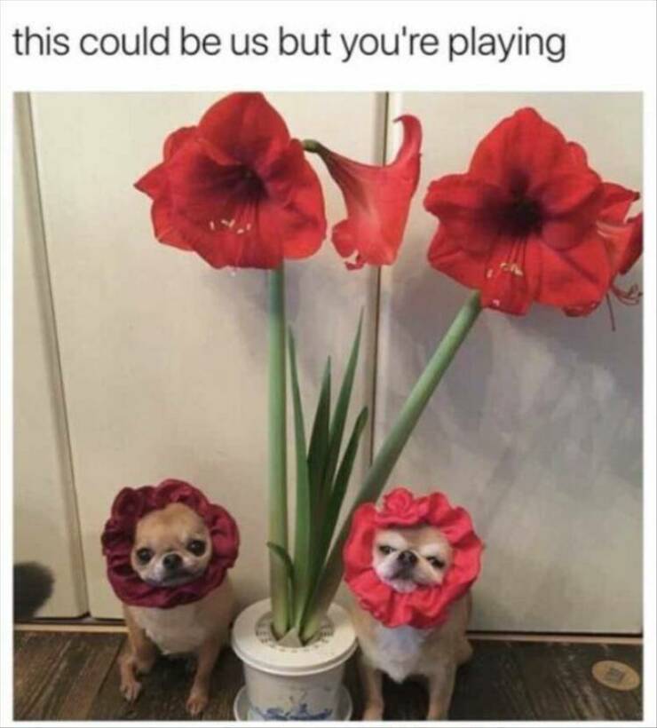 Daily Pictures. Part 2 (70 pics)