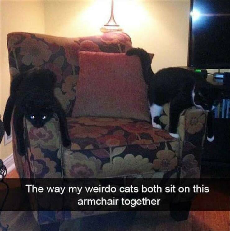 Daily Pictures. Part 2 (70 pics)