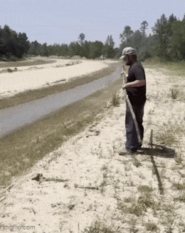 Acid GIFs, May 8 (25 gifs)