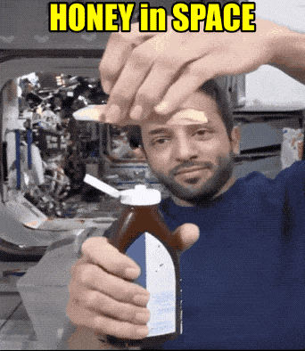 Acid GIFs, May 8 (25 gifs)