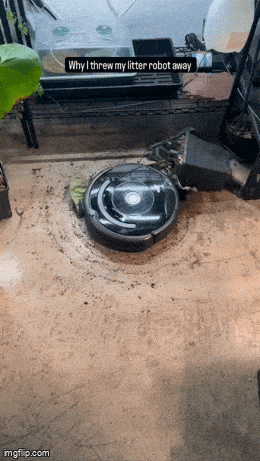 Acid GIFs, May 8 (25 gifs)