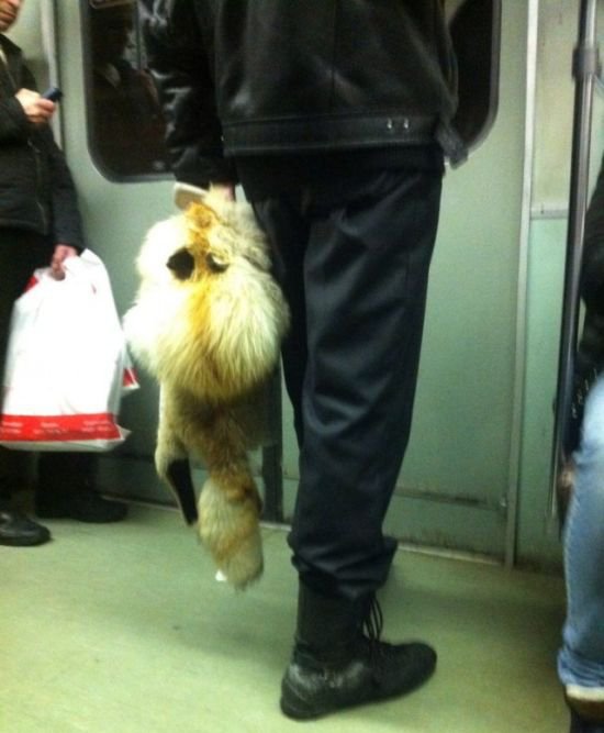 Strange People In The Subway (20 pics)