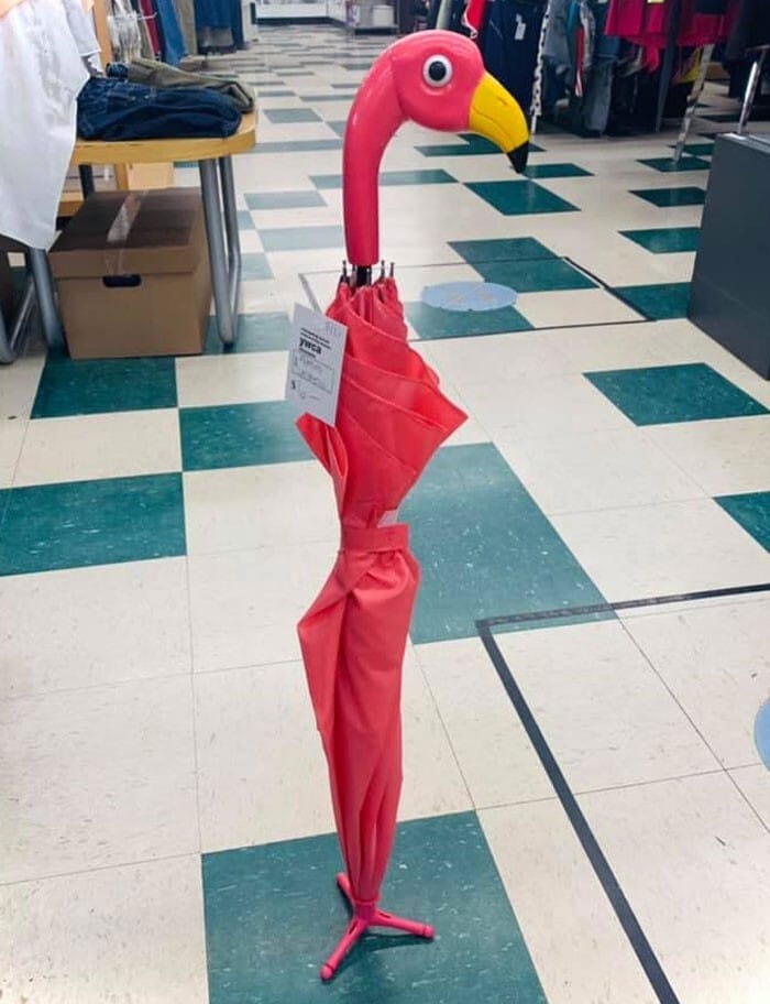 Cool Finds In Thrift Shops (23 pics)