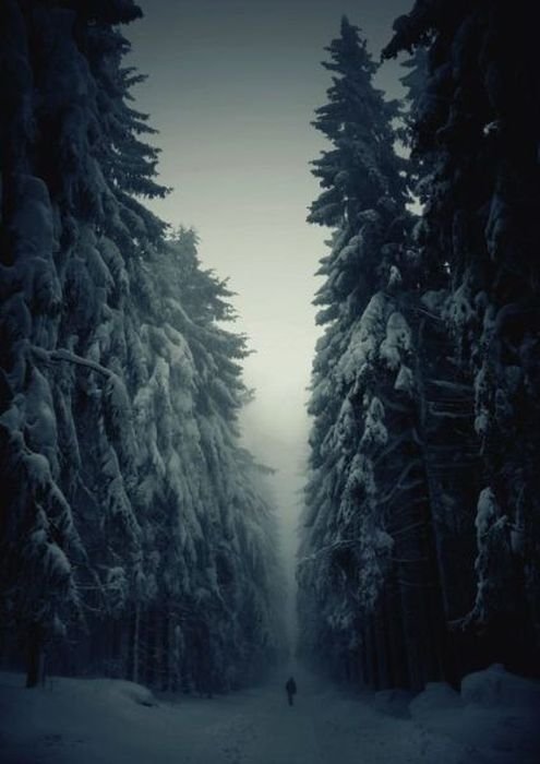 Scary Photos (20 pics)
