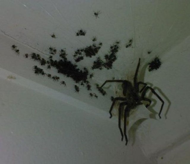 Scary Photos (20 pics)