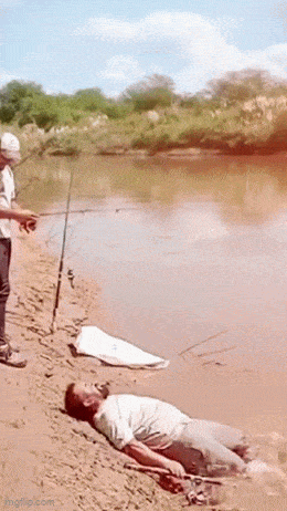 Acid GIFs, May 10 (25 gifs)