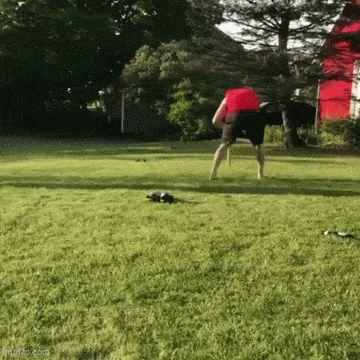 Acid GIFs, May 10 (25 gifs)