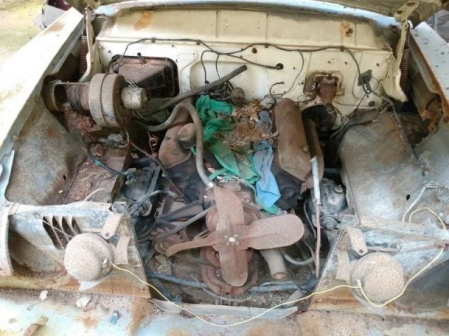Car Graveyard (20 pics)