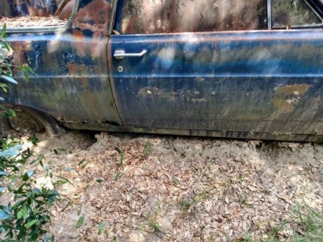 Car Graveyard (20 pics)