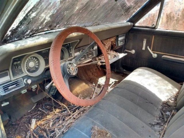 Car Graveyard (20 pics)