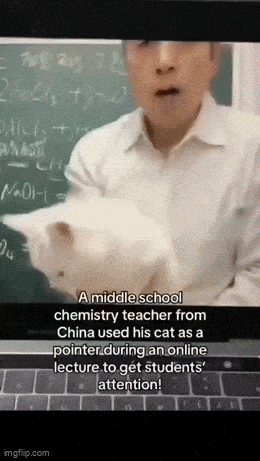 Acid GIFs, May 13 (25 gifs)