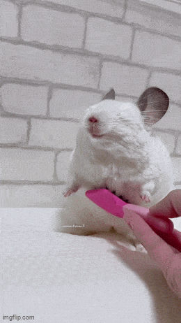 Acid GIFs, May 13 (25 gifs)