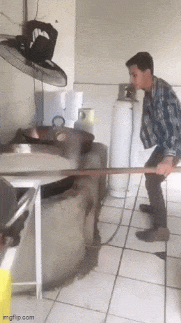 Acid GIFs, May 13 (25 gifs)